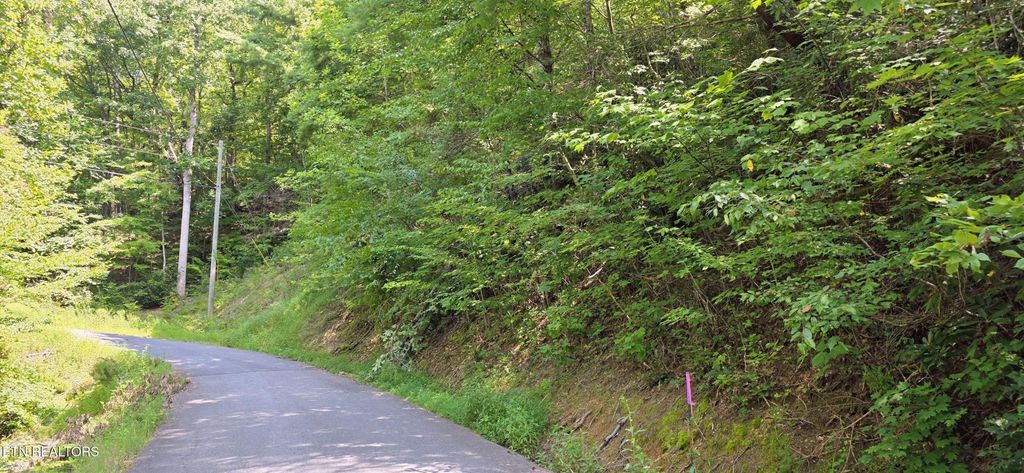 24 Sugar Maple Loop Rd, Sevierville