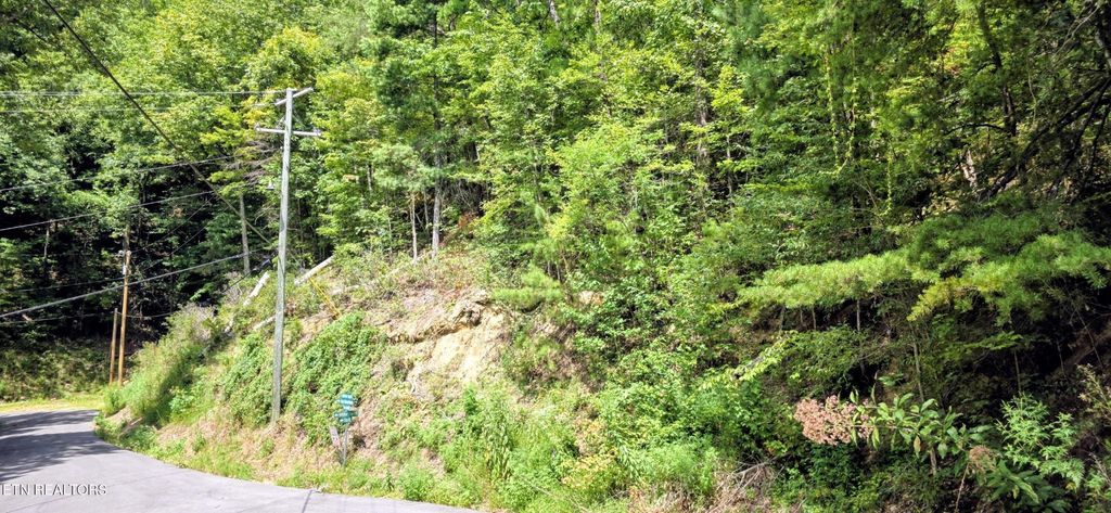 1 Black Walnut Flats Rd, Sevierville