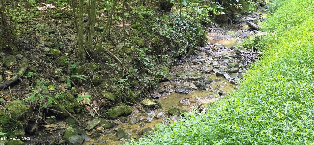 16 Black Walnut Flats Rd, Sevierville