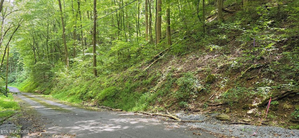 25 Black Walnut Flats Rd, Sevierville