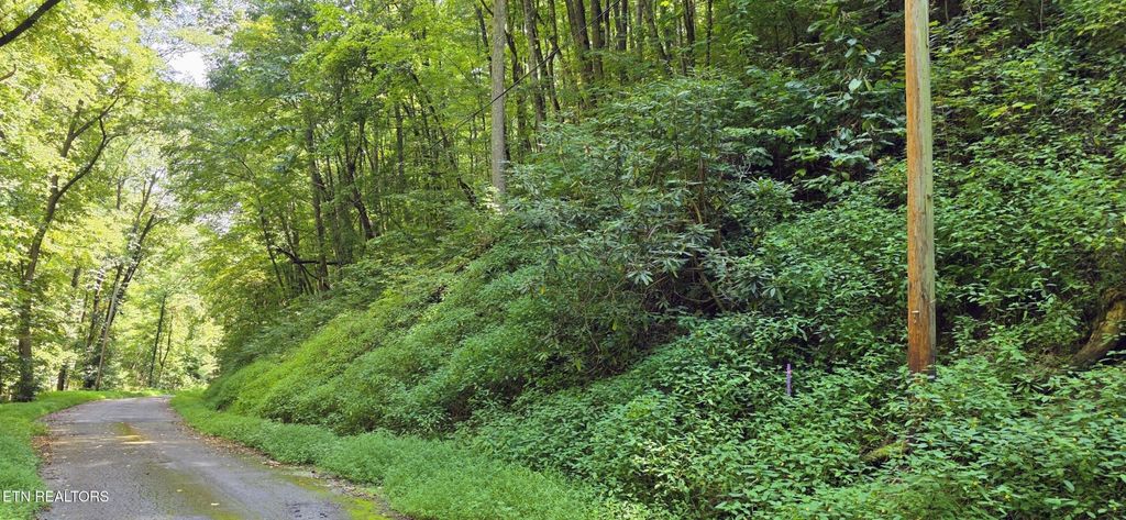 29 Black Walnut Flats Rd, Sevierville