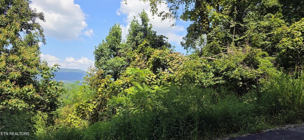28 Sugar Maple Loop Rd, Sevierville