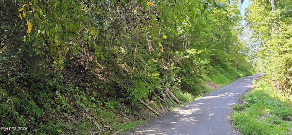 5 Sugar Maple Loop Rd, Sevierville