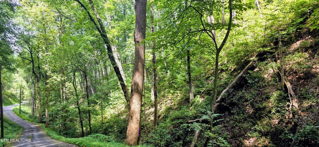 15 Emerald Springs Loop, Sevierville
