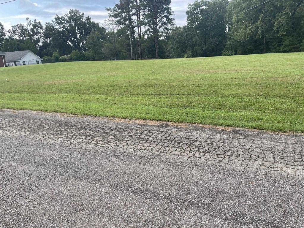 0 Caney Branch Rd, Adamsville
