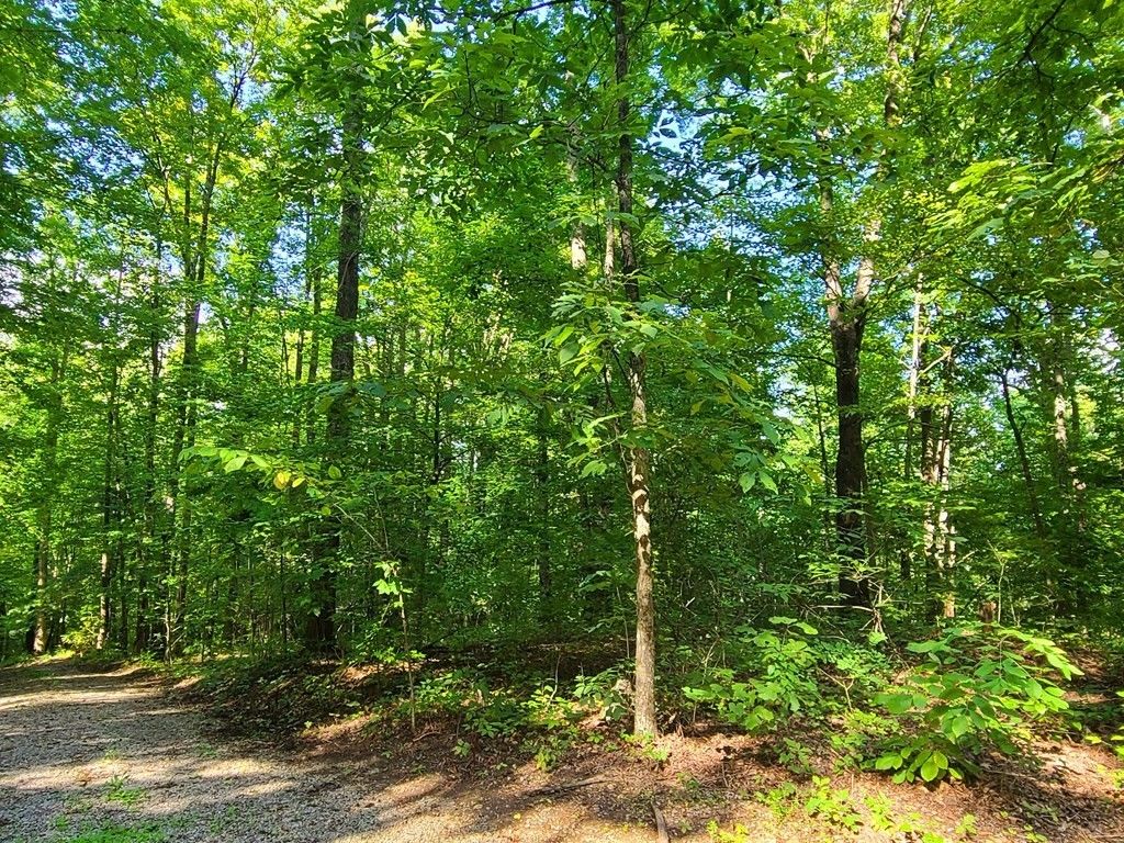 9 Walden Flats Way, Sevierville