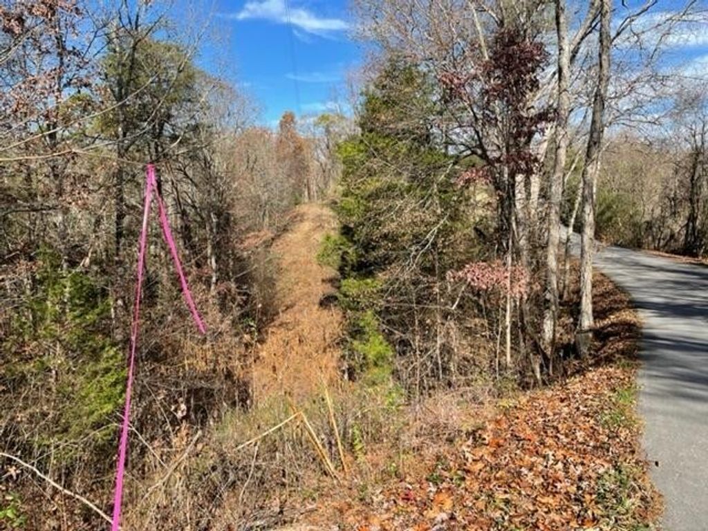 71 Happy Hollow Lane, Sevierville
