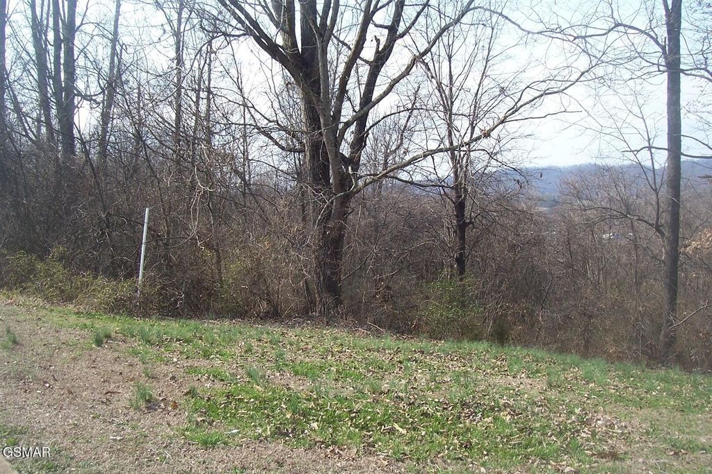 142 Low Valley Road, Dandridge