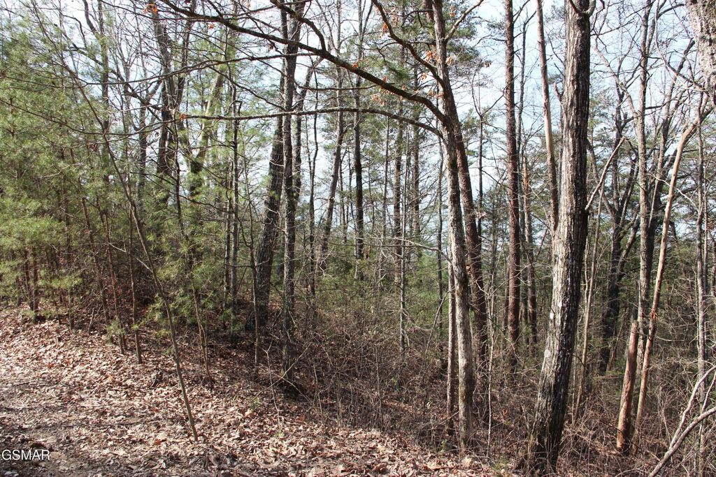 19 Ridge View Drive, Sevierville