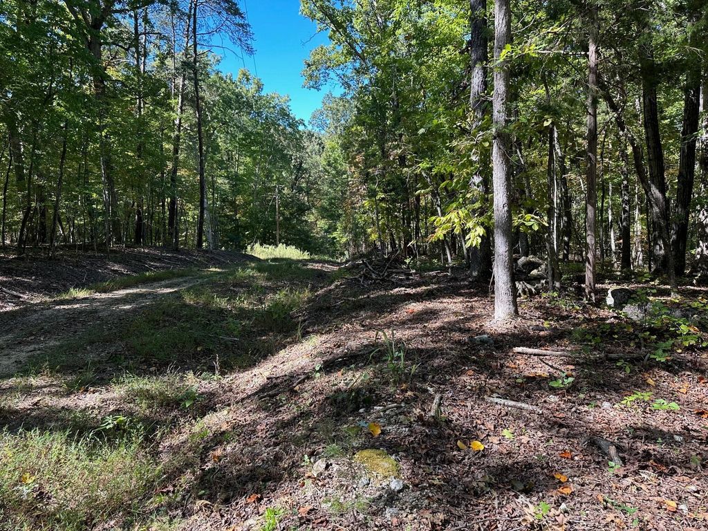 353 Diana Drive, Spring City
