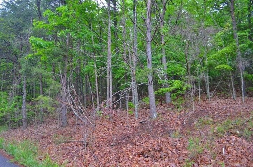 8805 Terrace Falls Drive, Soddy Daisy