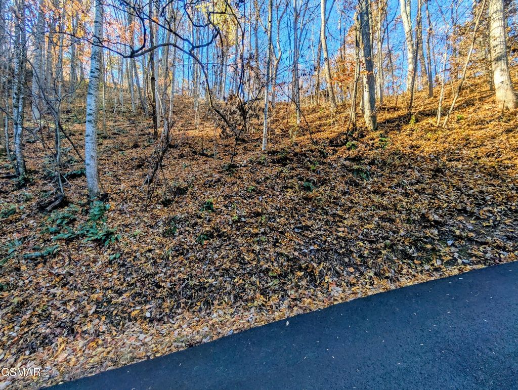 339 Ridgefield Drive, Sevierville