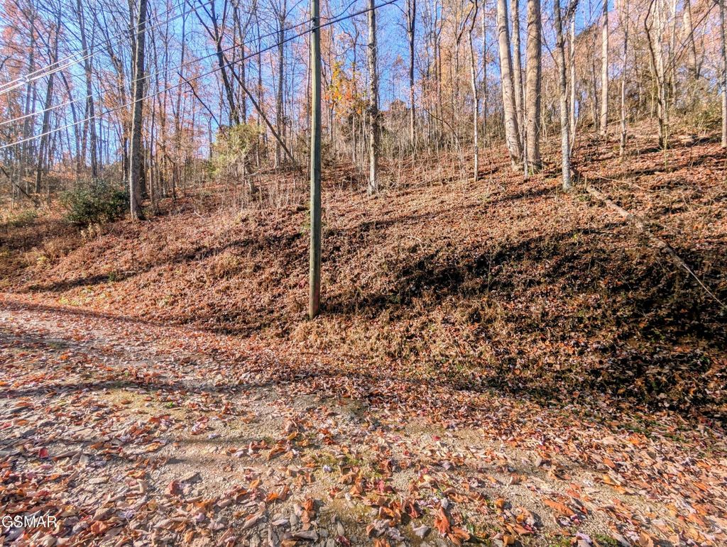 1272 Raymond Hollow Road, Sevierville