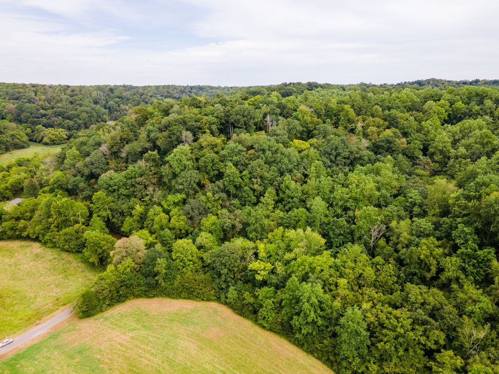 3045 Robert Skelley Rd, Columbia
