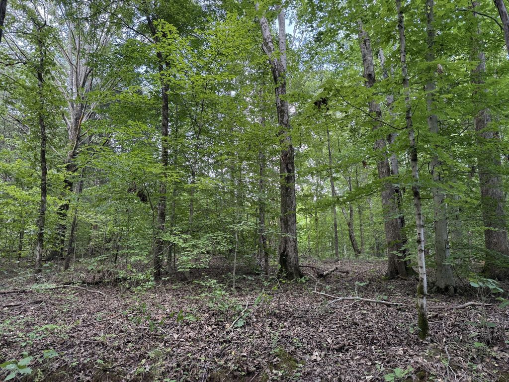 995 Hurricane Creek Road, Stewart