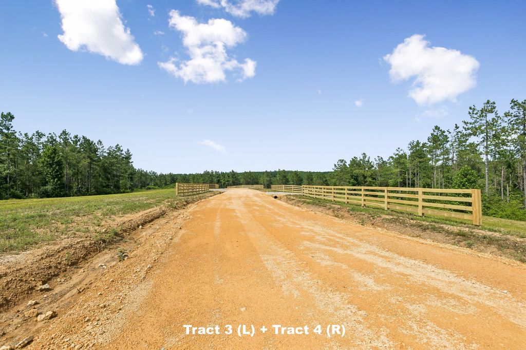 1420 Big Swan Creek Rd, Summertown