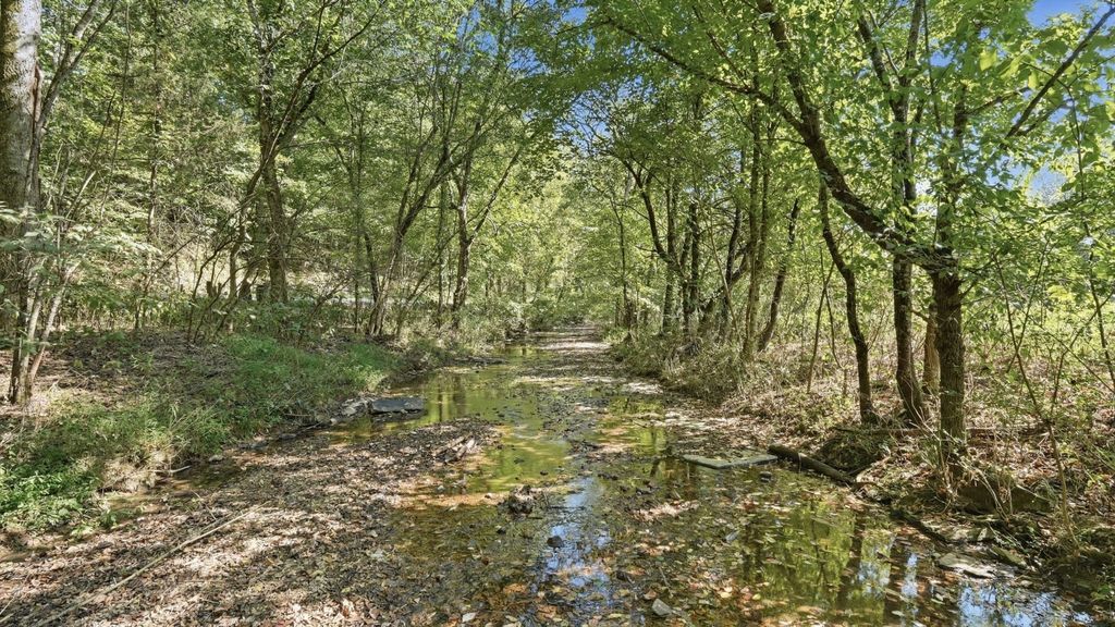 0 Opossum Paw Road, Beechgrove