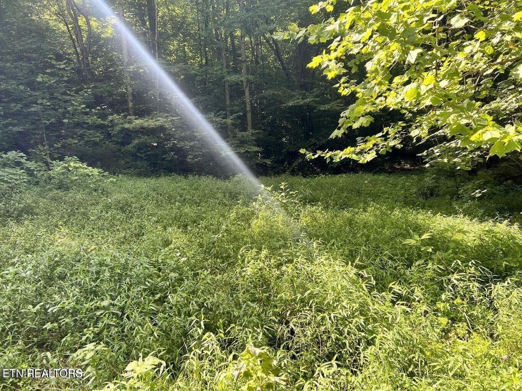 0 Jackson Ridge Rd, Tazewell