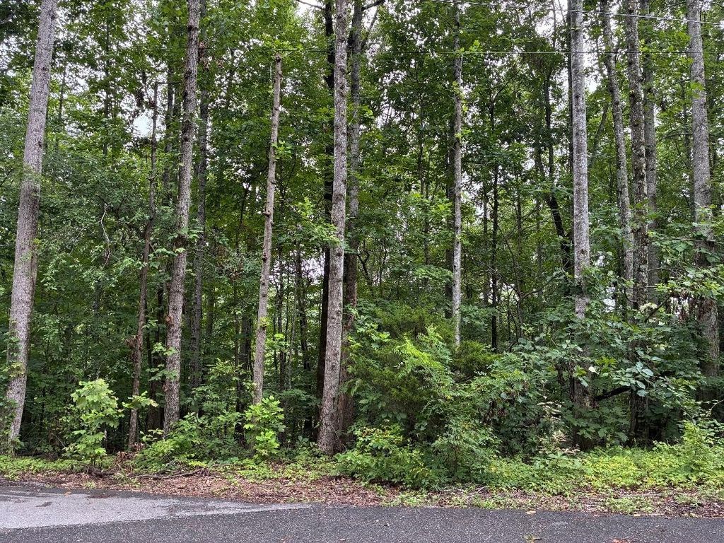 4672 Heath Road, Nashville