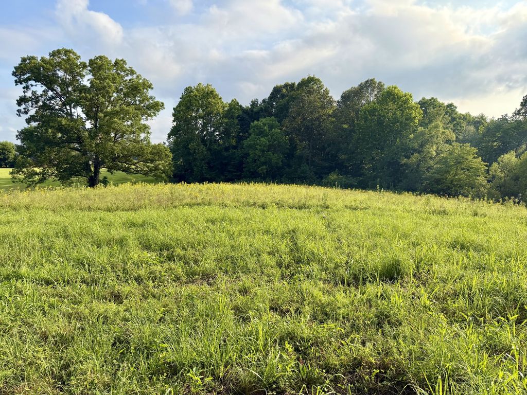 669 Houston Fielder Rd, Clarksville