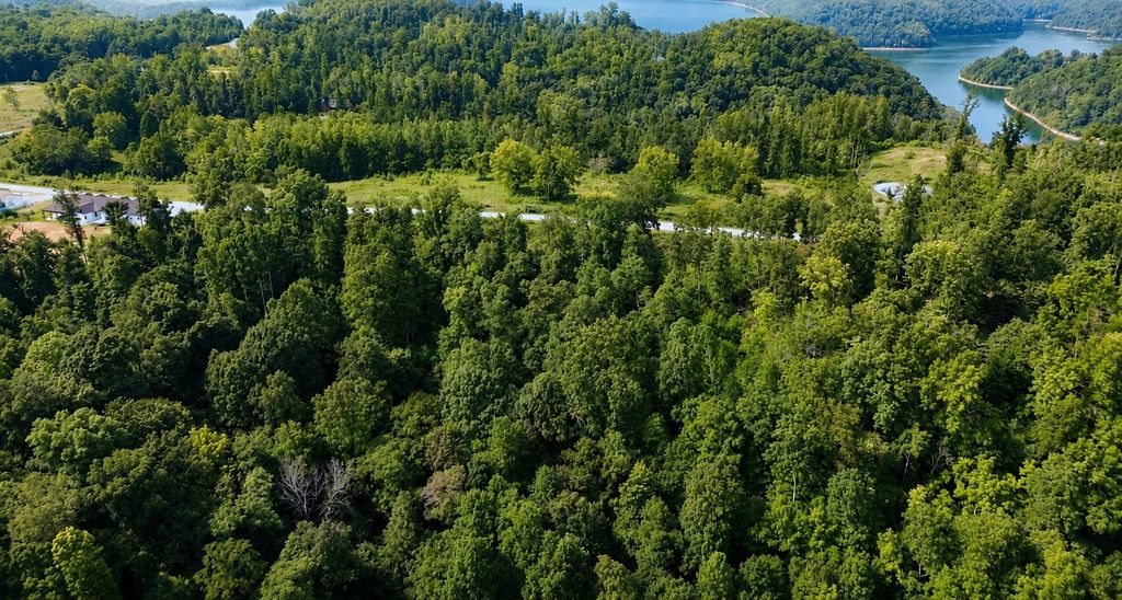 0 S Peninsula Edge Dr, Smithville