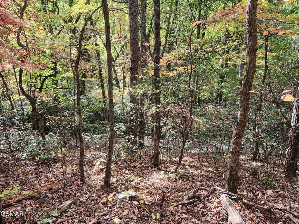 11 Bluff Mtn Rd, Sevierville
