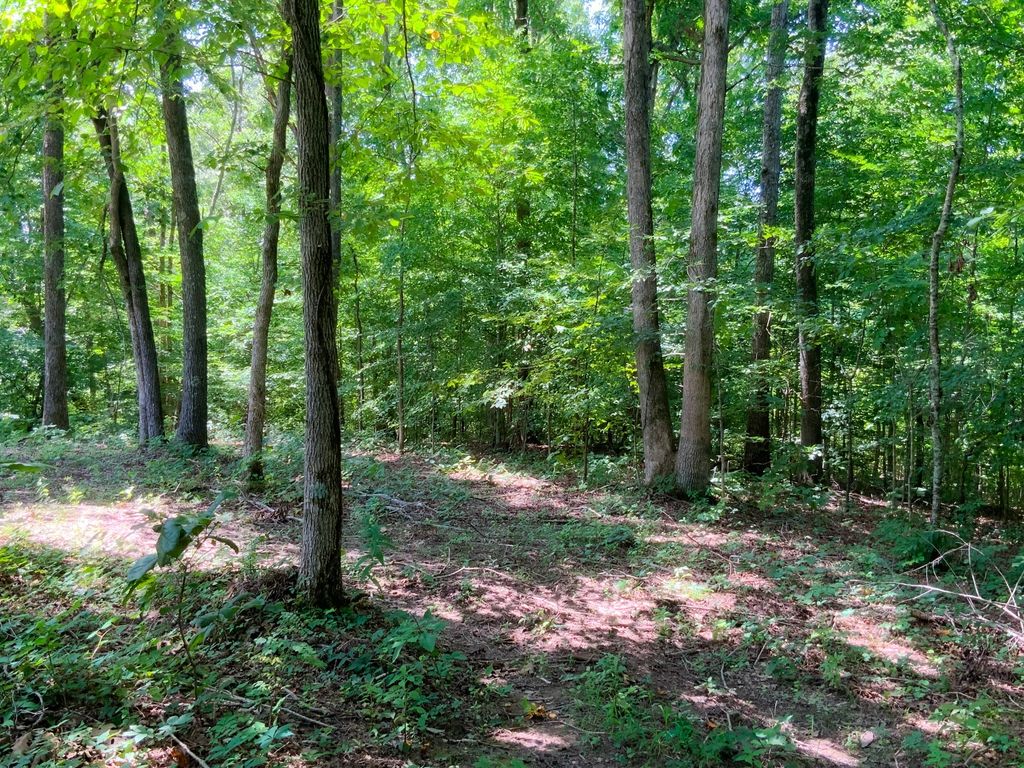 0 Deadwood Drive, Dover