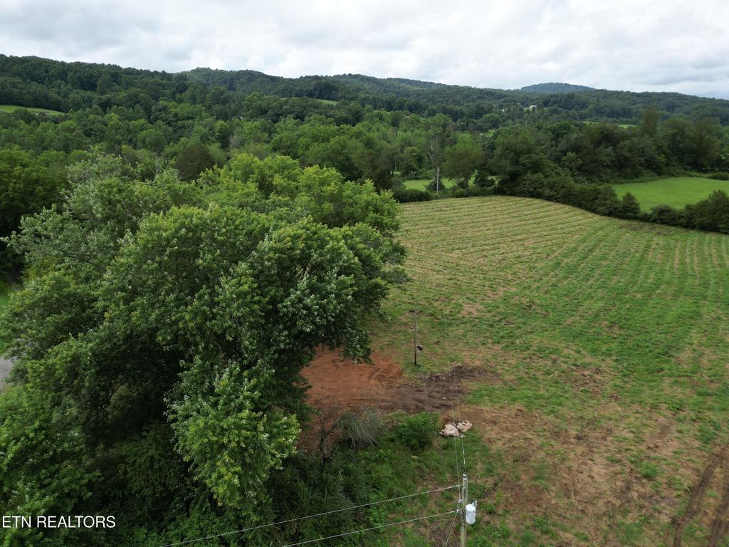 317 Singleton Hollow Rd, Speedwell