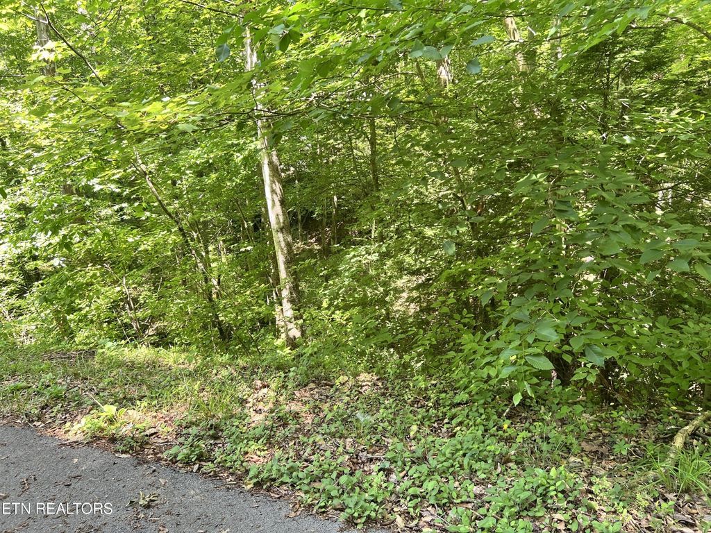 0 Fir Drive, Sevierville