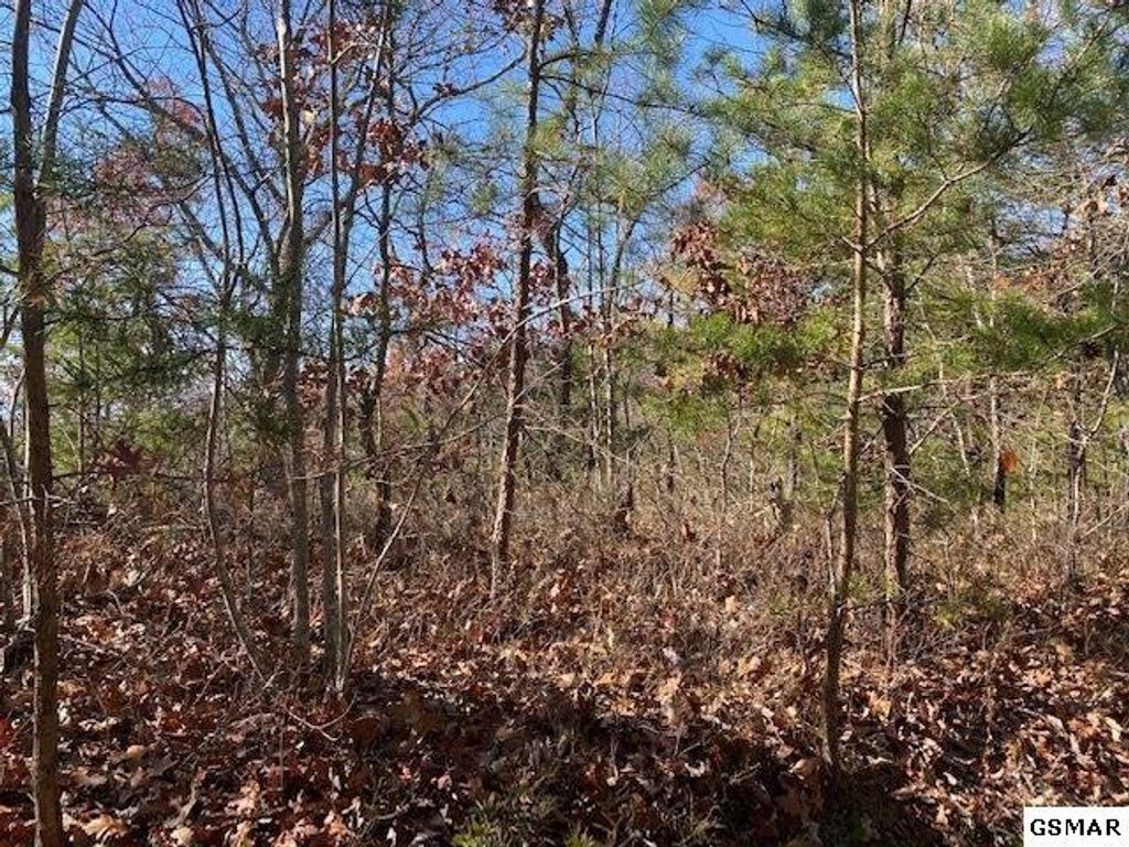 69 Poplar Place, Sevierville