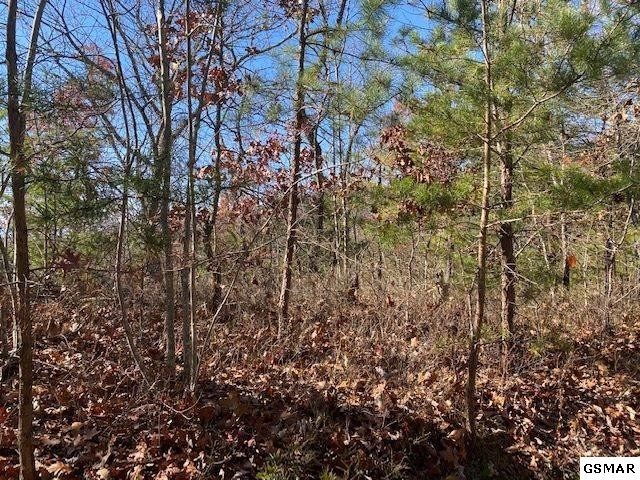 Photo of Listing #3313366