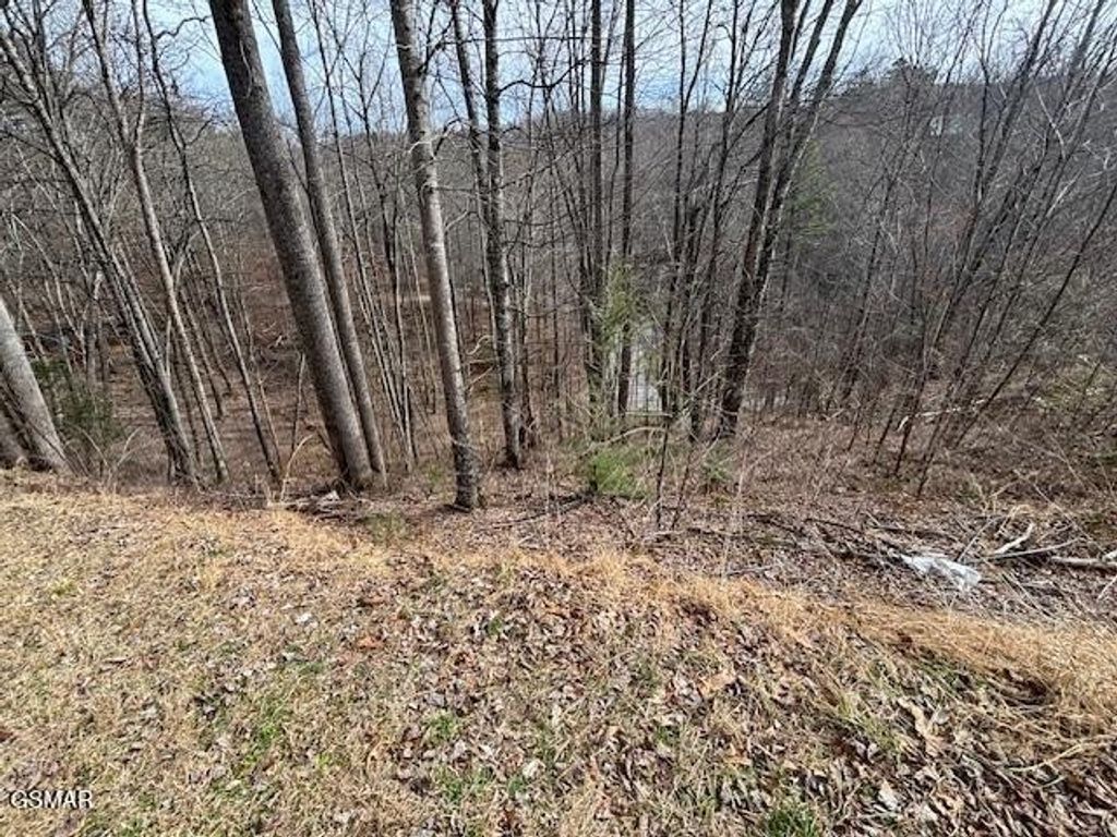 444 Sky View, Sevierville
