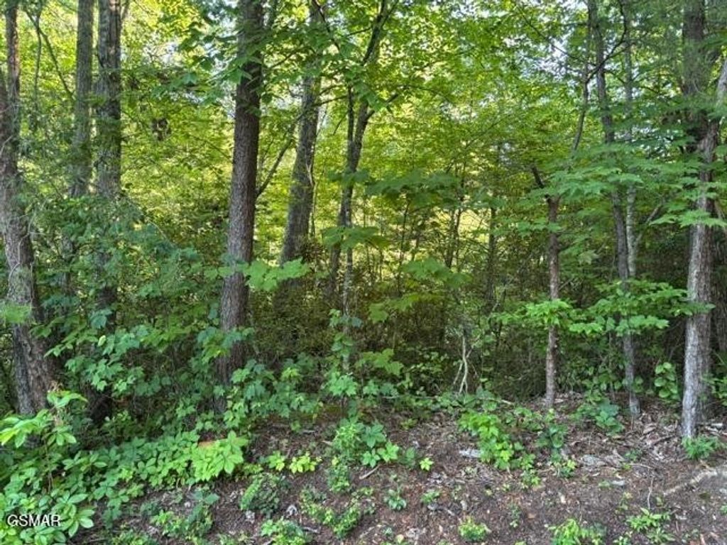 1461 Ridgehigh Pass, Sevierville
