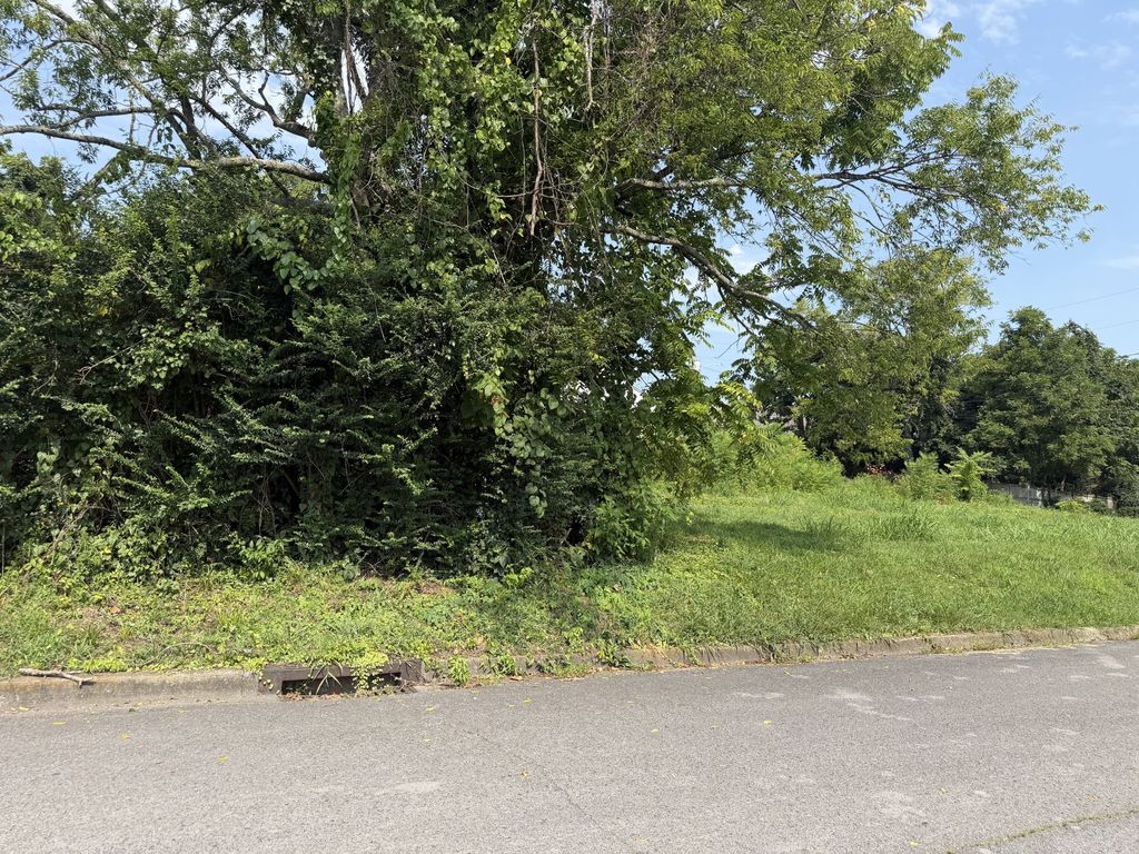 0 Morton St, Shelbyville
