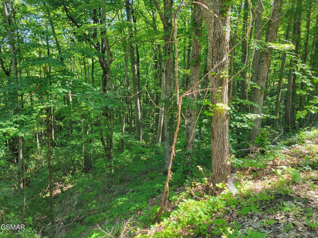 20 Sunset Drive, Sevierville