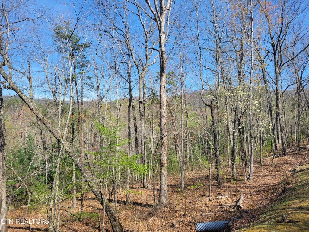 10 Black Oak Drive, Sevierville