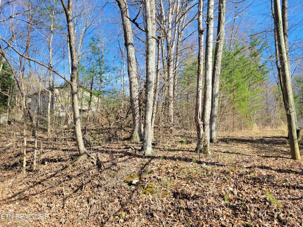 69 Alpine Drive, Sevierville