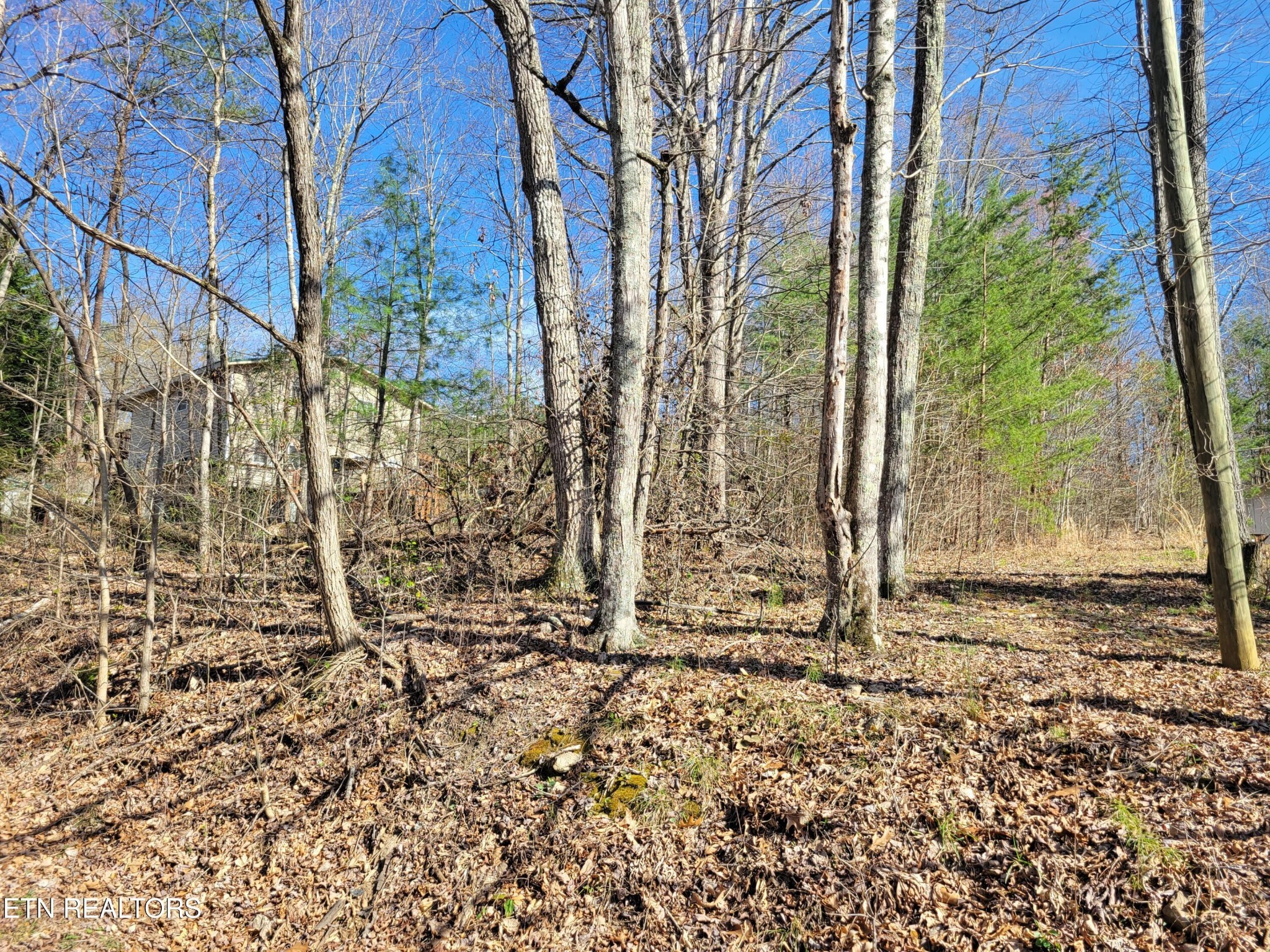 Photo of Listing #3314609