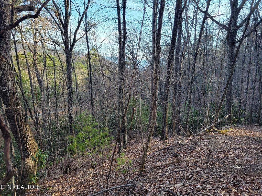 5 Swann Saddle, Sevierville