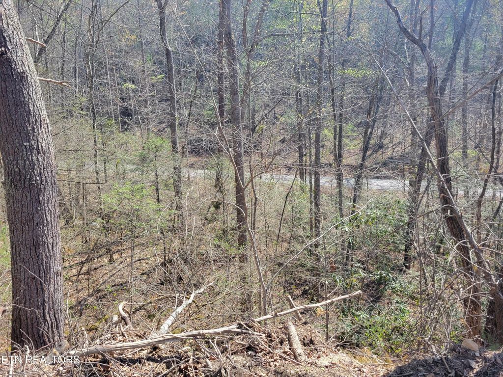 25 Alpine Drive, Sevierville