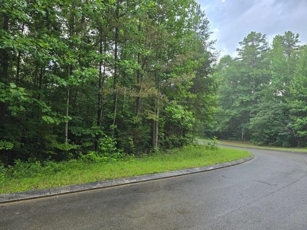 156 Lower Brow Road, Dunlap