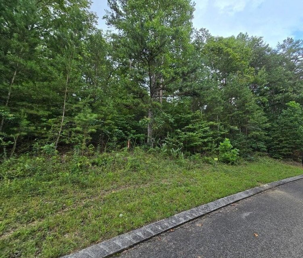 157 Lower Brow Road, Dunlap