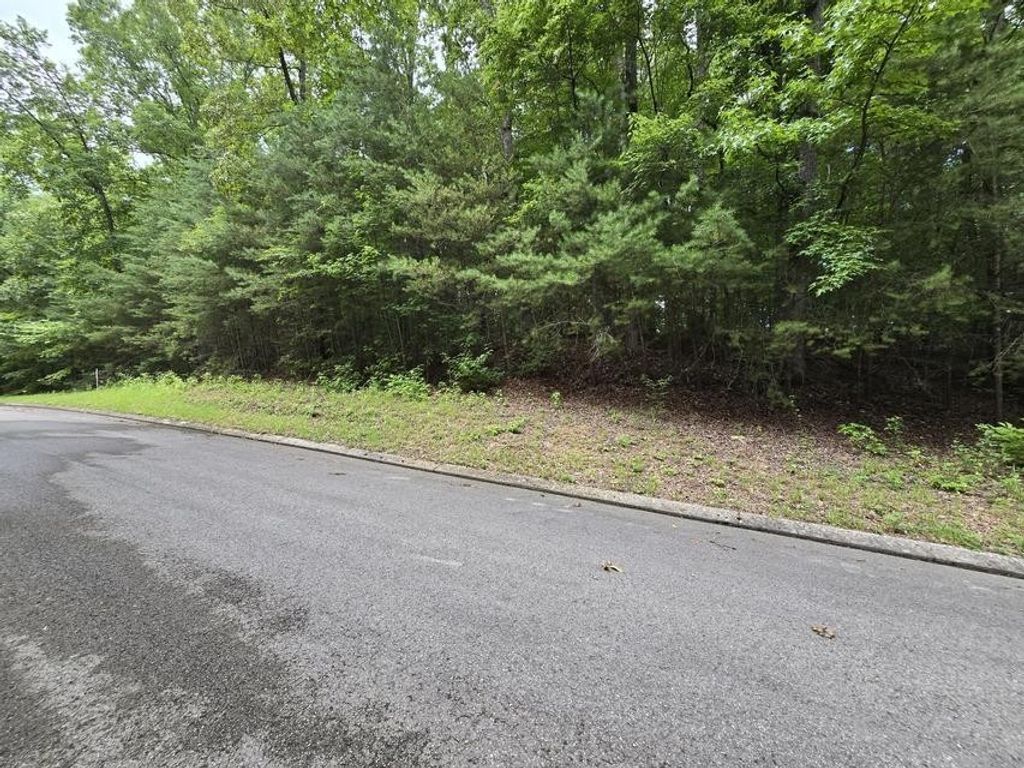 134 Lower Brow Road, Dunlap