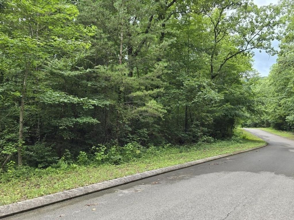 135 Lower Brow Road, Dunlap