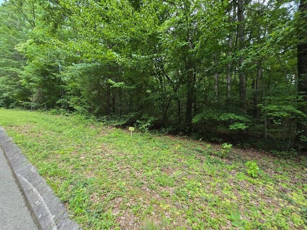 138 Lower Brow Road, Dunlap
