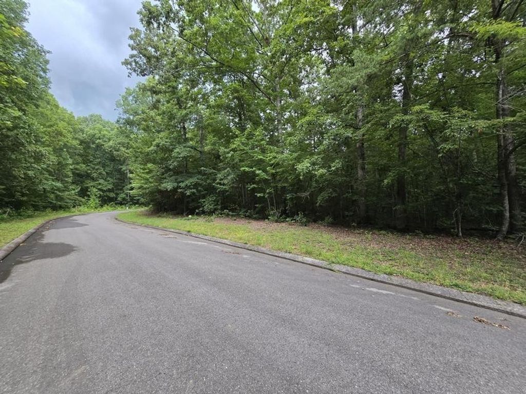 140 Lower Brow Road, Dunlap