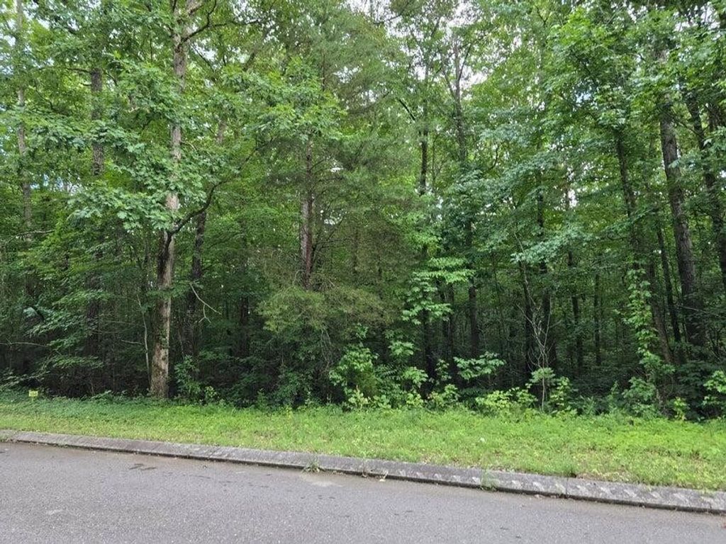 144 Lower Brow Road, Dunlap