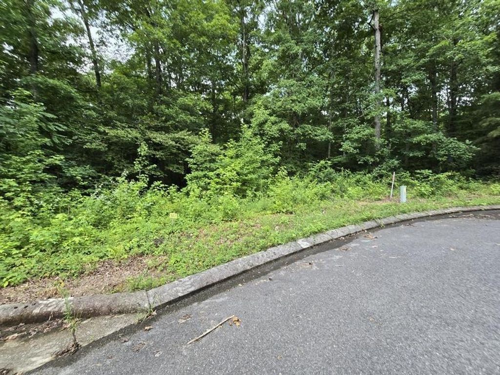 142 Lower Brow Road, Dunlap