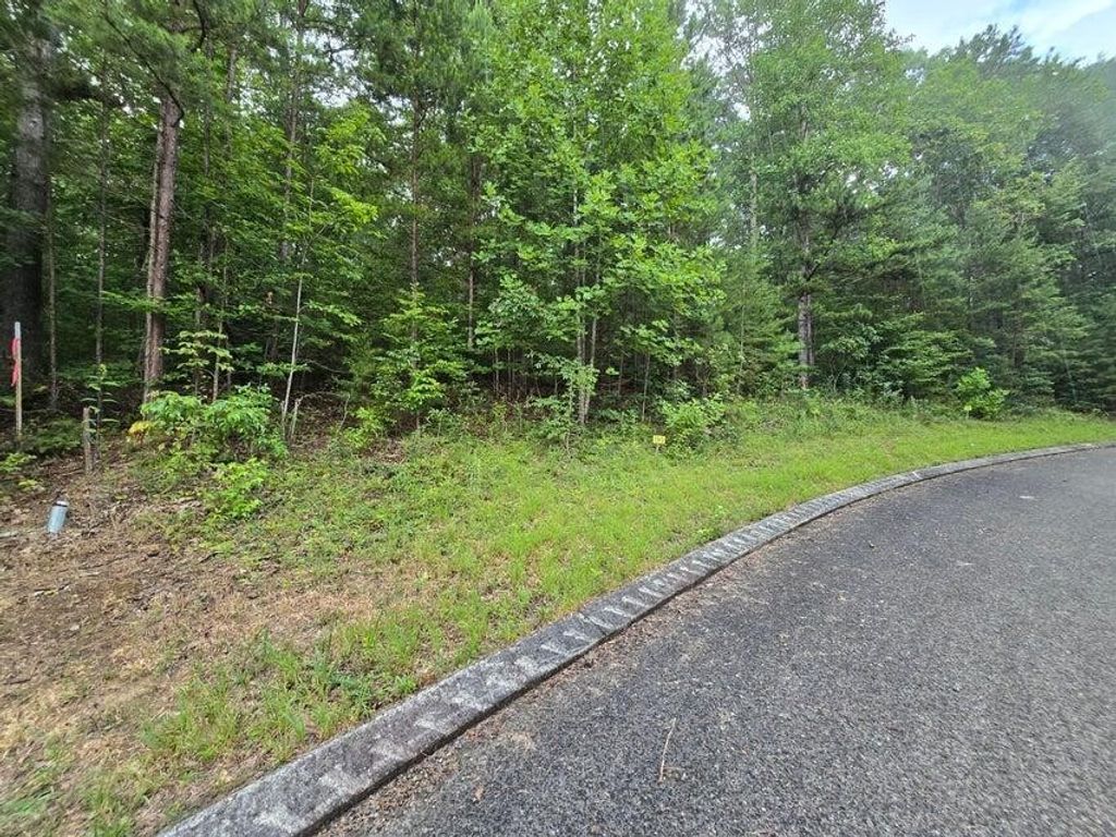 155 Lower Brow Road, Dunlap