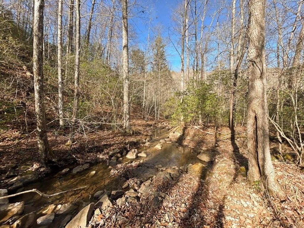 5 Deerhead Road, Dunlap